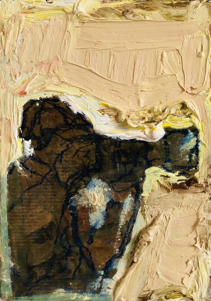 polderman klein met camera