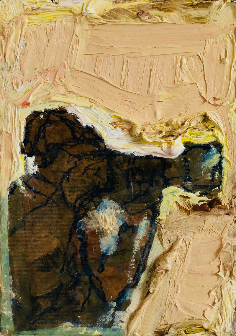 polderman klein met camera