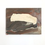 VREES met lapje afgedekt